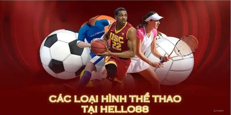 Các bộ môn cá cược đắt khách tại chuyên mục thể thao Hello88